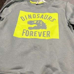 H&M dinosaur sweat shirt